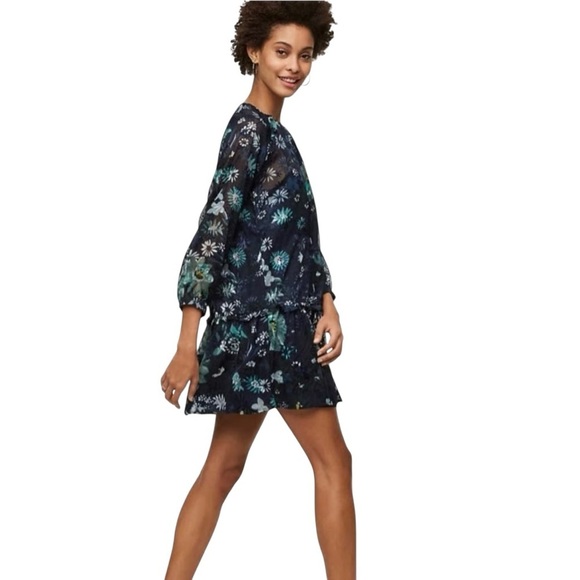 Ann Taylor Loft Floral Sheer Navy Blue Winter Garden Flounce Flare Dress Medium - Picture 3 of 10